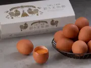 贈り物におすすめ!こだわりの 平飼い卵『彩り天佑卵10個』(奥出雲前綿屋)