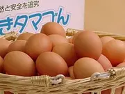 普段使い卵20個入(筑前飯塚宿 たまご処 卵の庄)