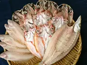 どんちっち三魚 カマスセット(干物専門店 河野乾魚店)