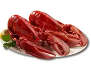 天然カナダ・アメリカ東海岸産 活ロブスターL 450g×2尾(ホットロブスター)