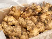 土付き大しょうが 1kg(矢野農園)