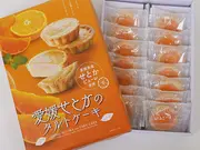 愛媛せとかのタルトケーキ 14個入り(えひめ逸品)