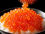 北海道 斜里産 昆布だし 秋鮭いくら(300g)(島の人オンラインショップ)