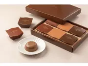 リッチチョコレートプリン6個詰(フタバ食品)