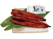 うなぎ蒲焼 約169g×2本 (鹿児島県大隅産)(鹿児島ここまる)