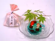 夏の庭(カップ)(京菓子司 甘春堂)