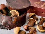 フィナンシエ 「ポルチーニショコラ」(Ristorante Renata(リストランテレナータ))