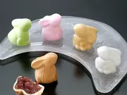 こうさぎ最中10個入り(みずの こうさぎ)