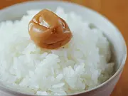 会津がんこ米(福島県産会津産コシヒカリ) 5kg(会津厳選マーケット)