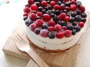 ベリーベリージェラートアイスケーキ(ウイングチップ)