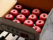 サンふじ 特秀 5kg(サンふじ専門農園小西園)