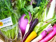 朝採り!「旬の三浦野菜」レギュラーセット(朝採り!三浦野菜市場)