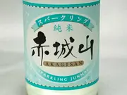 赤城山 純米スパークリング 300ml(上州の地酒 たかはし与)