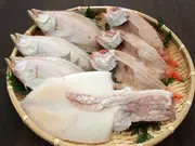 名人の干物 のどぐろ・エテカレイ・白いか3種詰合-7尾(干物市場ドットコム)