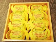 しまなみレモンケーキ 8個(パティスリー1904(ティズヌフソンキャトル))