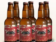 南信州ビール りんごの発泡酒 アップルホップ 330ml瓶 6本セット(いいもん)