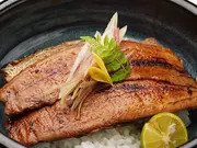 北海道道東産 炭焼さんま丼4食セット(炭焼きさんま丼)