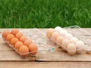 たまごお取り寄せセット(北坂養鶏場)