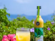 大宜味村産青切シークヮーサージュース(100%) 2本セット(やえやまファーム)