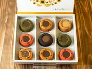 ティグレセット<9個入り>(Maison  GIVRÉE(メゾン ジブレー))