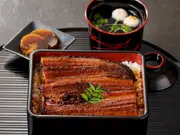 俺の割烹 俺のうなぎ(1~2人前)(俺のEC)