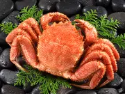 北海道噴火湾産 浜茹で黄金毛ガニ400~500g(1尾)(通販専門店ふるさと産直村)