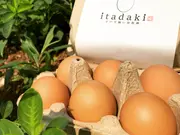 平飼い放牧卵 itadaki (24個)(ナチュラルエッグラボ)