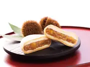 和栗最中アイス 6個セット(中津川市之瀬)