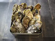 広島県産 カキのガンガン焼き3kg(ざこばの朝市)