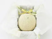 【特選】花包みマスクメロン1玉箱入り1.6kg以上(IKKASOUDEN MELON)