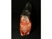 黒毛和牛タン100g(オーダーカット)(MEAT&DELI355)