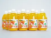 えひめのみかんストレートジュース 500ml×12本セット(えひめ逸品)