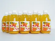 きよみストレートジュース 500ml×12本セット(えひめ逸品)