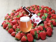 畑の苺ビール6本セット(いちごの里)