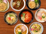 季節で変わるお楽しみ麺セット 詰合せ (6種 7~9人前)(田中の麺家)