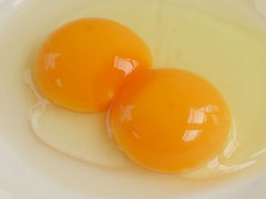 二黄卵 20個詰め_0