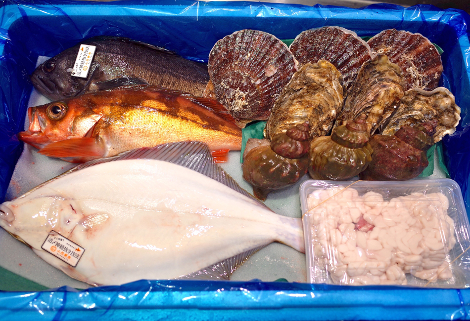 鮮魚詰め合わせセット