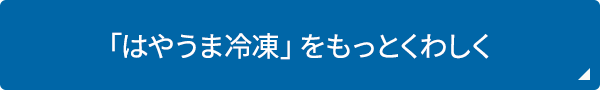 「はやうま冷凍」についてもっとくわしくチェック