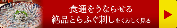 食通をうならせる絶品とらふぐ刺しをくわしく見る