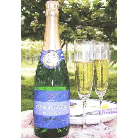 五一わいん　ナイヤガラスパークリングワイン　白　 720ｍｌ_0