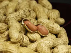 さや付き落花生 千葉半立種（450g）_0