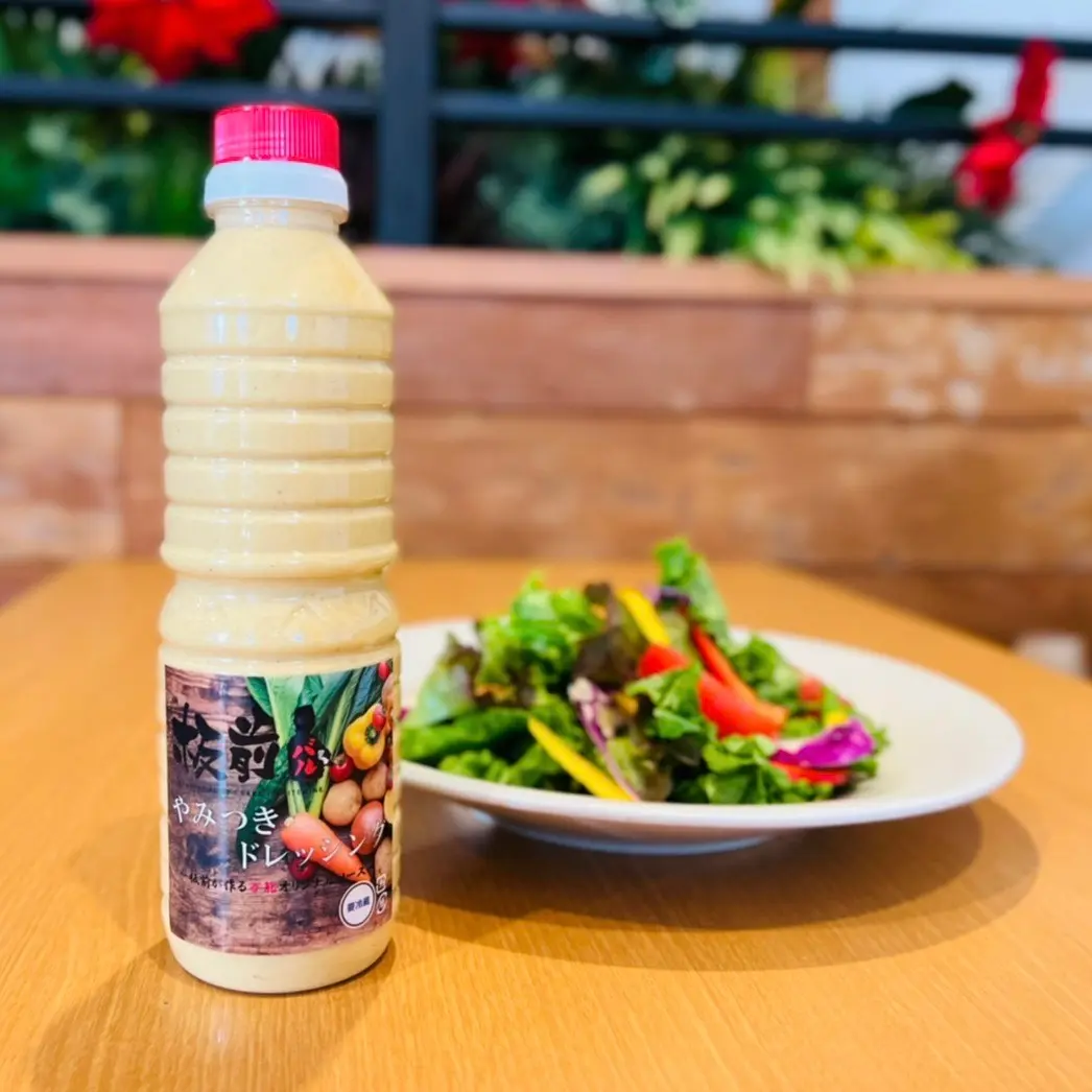 やみつきドレッシングソース500ml（1本）_0