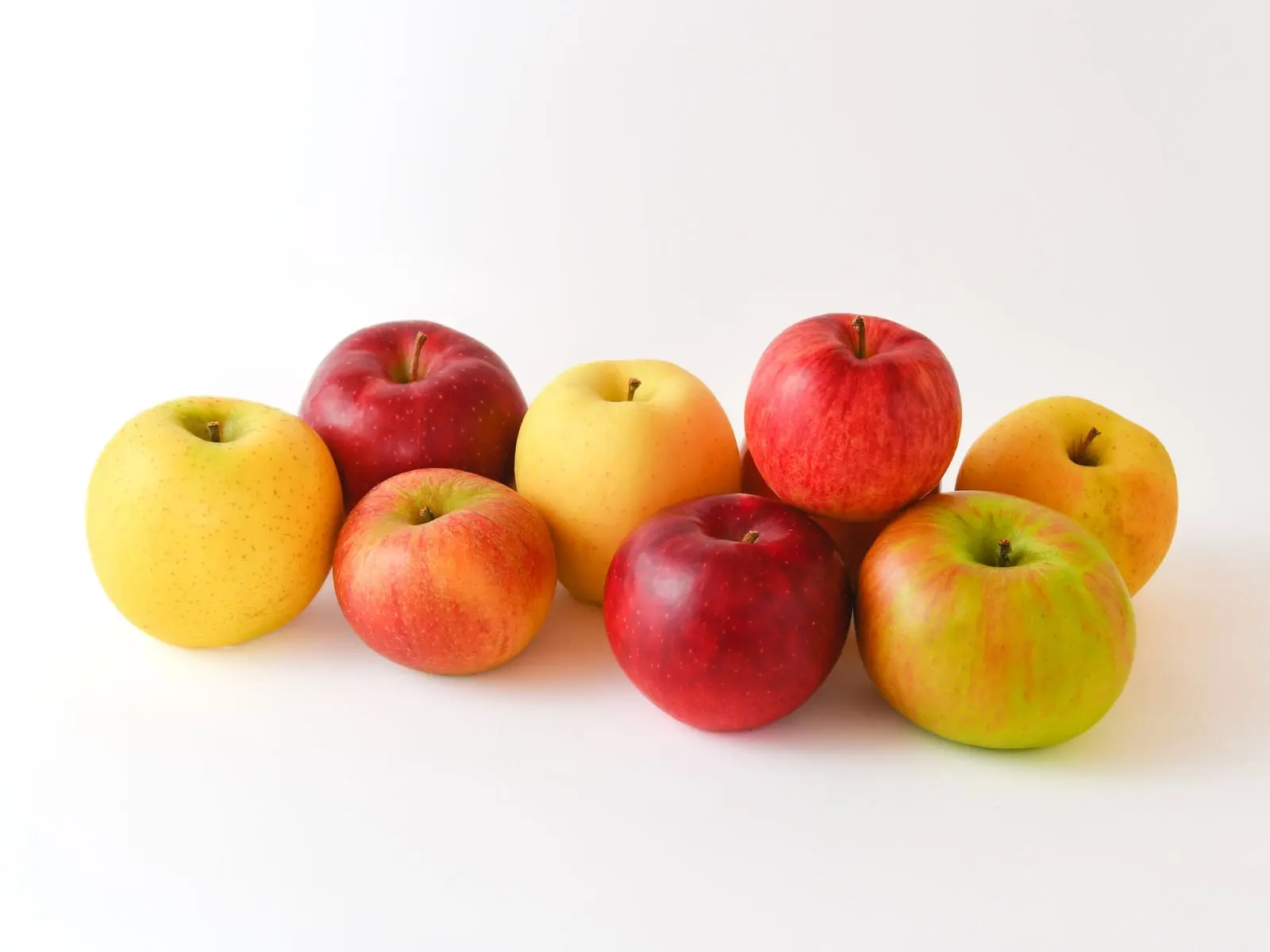 【ふるさと納税商品】食べ比べが楽しいアップルパイ（8個入り）_3