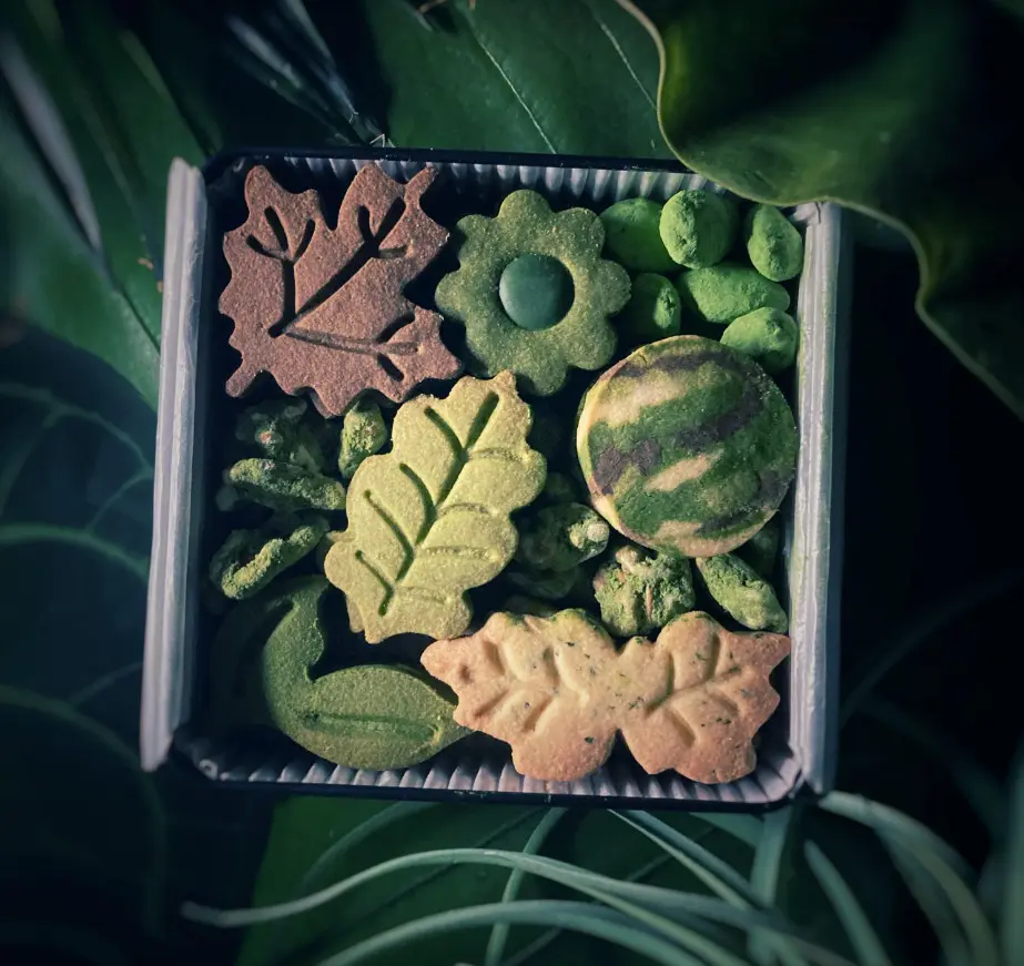 ボタニカルクッキー缶_0