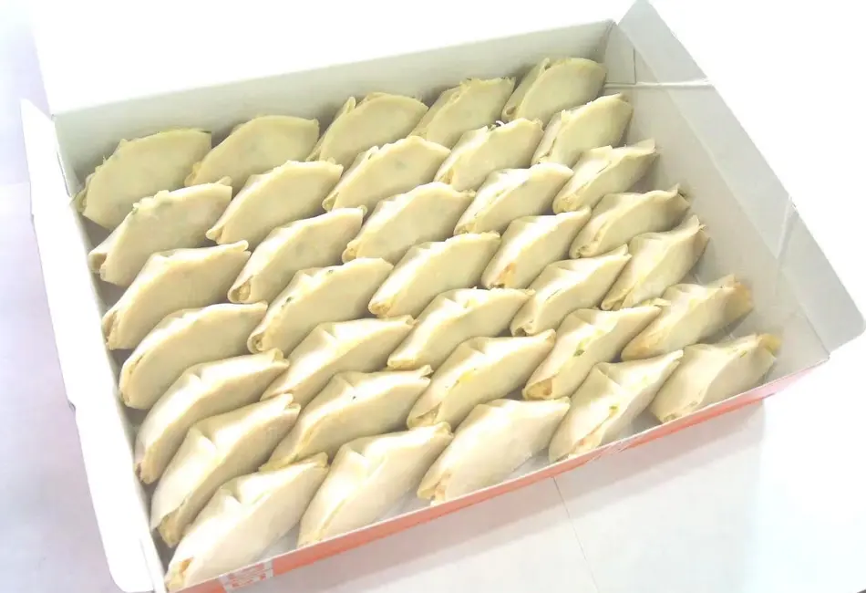 冷凍餃子 35個_0