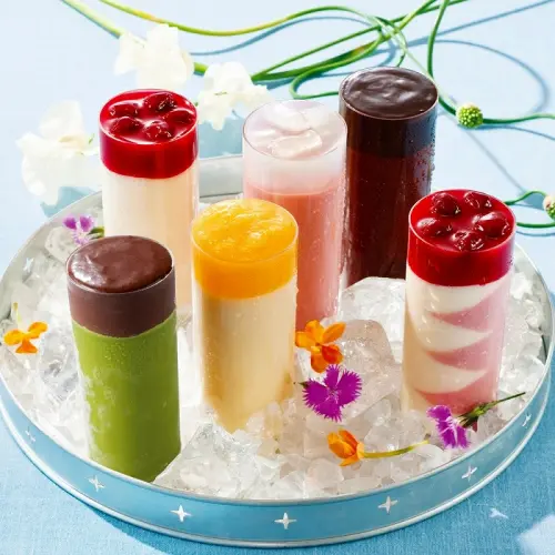 スノーラ・フローズンヨーグルト・レギュラー6本セット_0