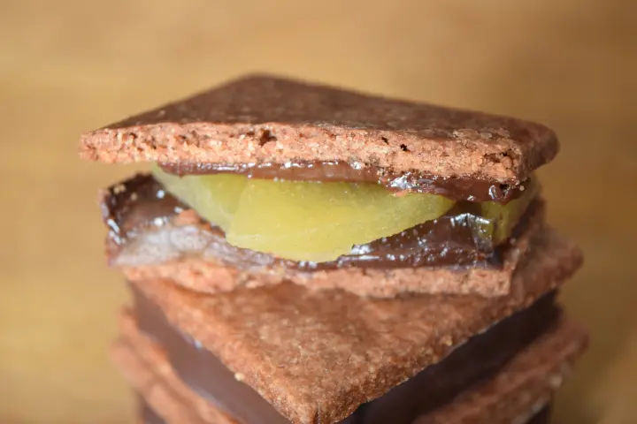 チョコレートサンド【信州りんご】（1個）_1