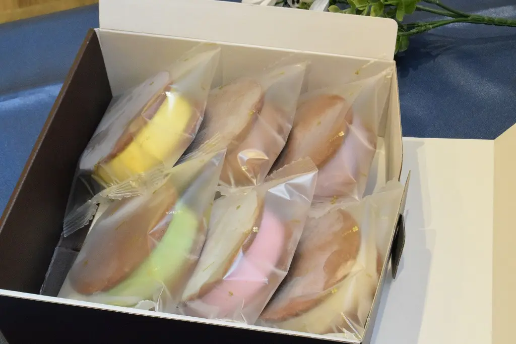 アイスクッキーサンド6個入（チョコレート・信州くるみ・信州ブルーベリー・ラズベリー・マンゴー・抹茶×1個入）_3