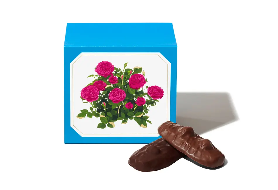 ショコラサブレ 8枚入_0