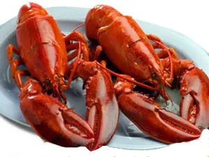 ロブスターとホタテ貝のBBQセット_0